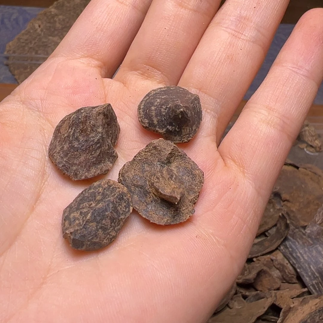 沉香碎屑沉香海南沉水小斗笠1.4了