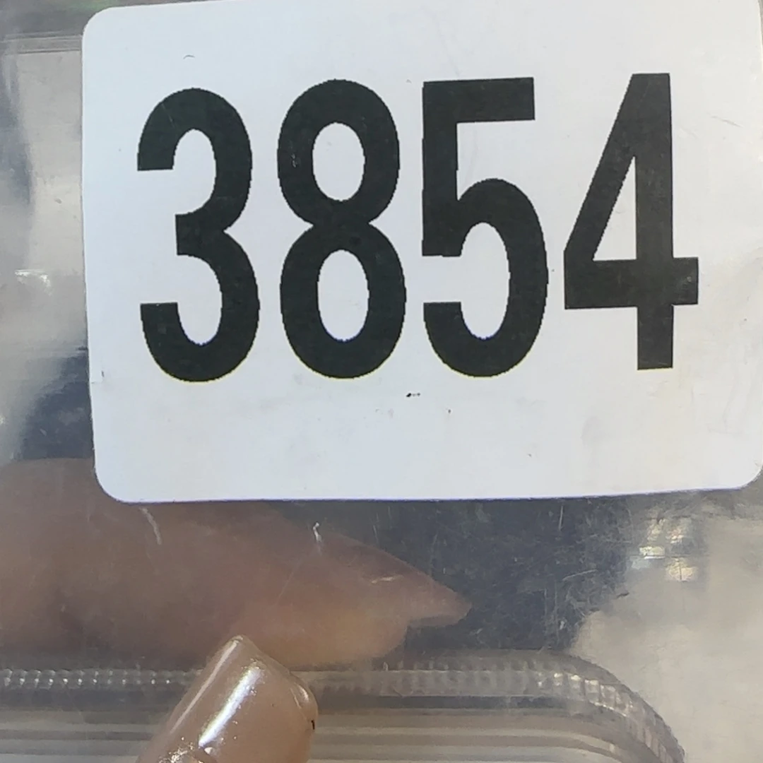 新号开播福利多多