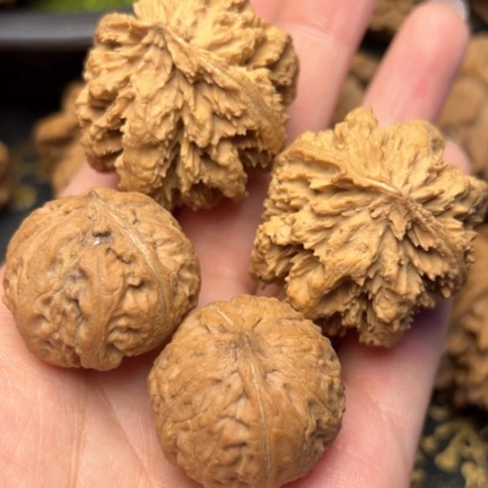 文玩核桃把件秦岭核桃9