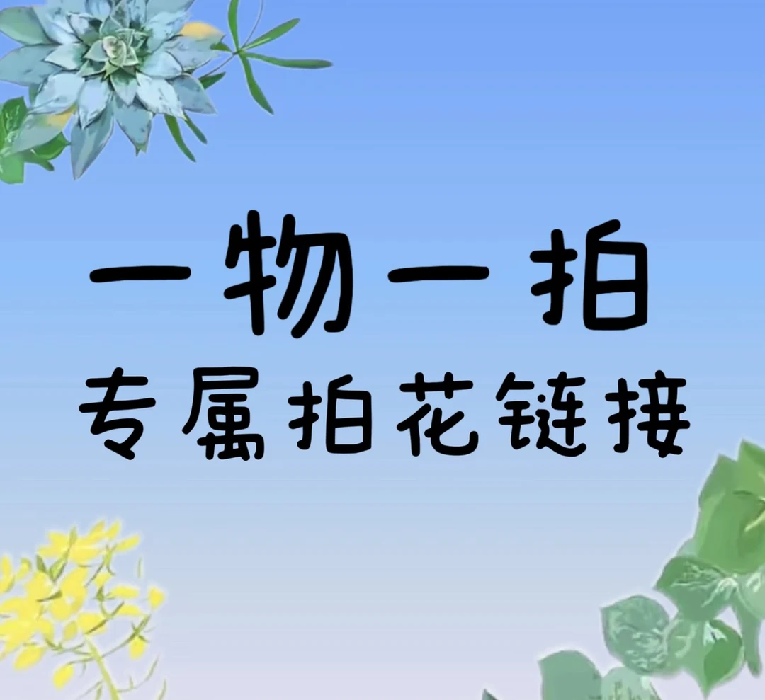 【小胖】泰国进口秋石斛《混色》一物一拍