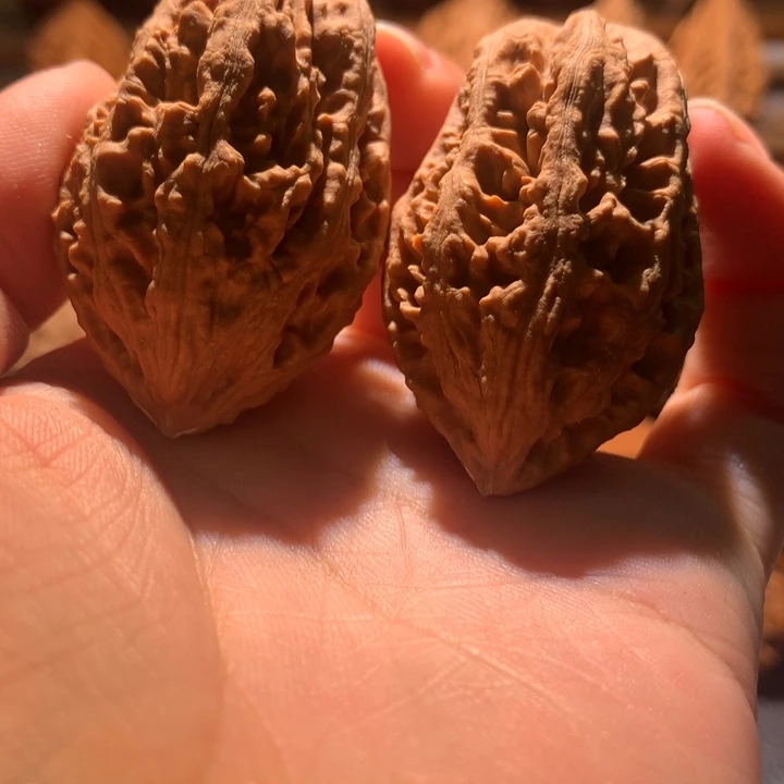 吊坠文玩核桃楸玥核149