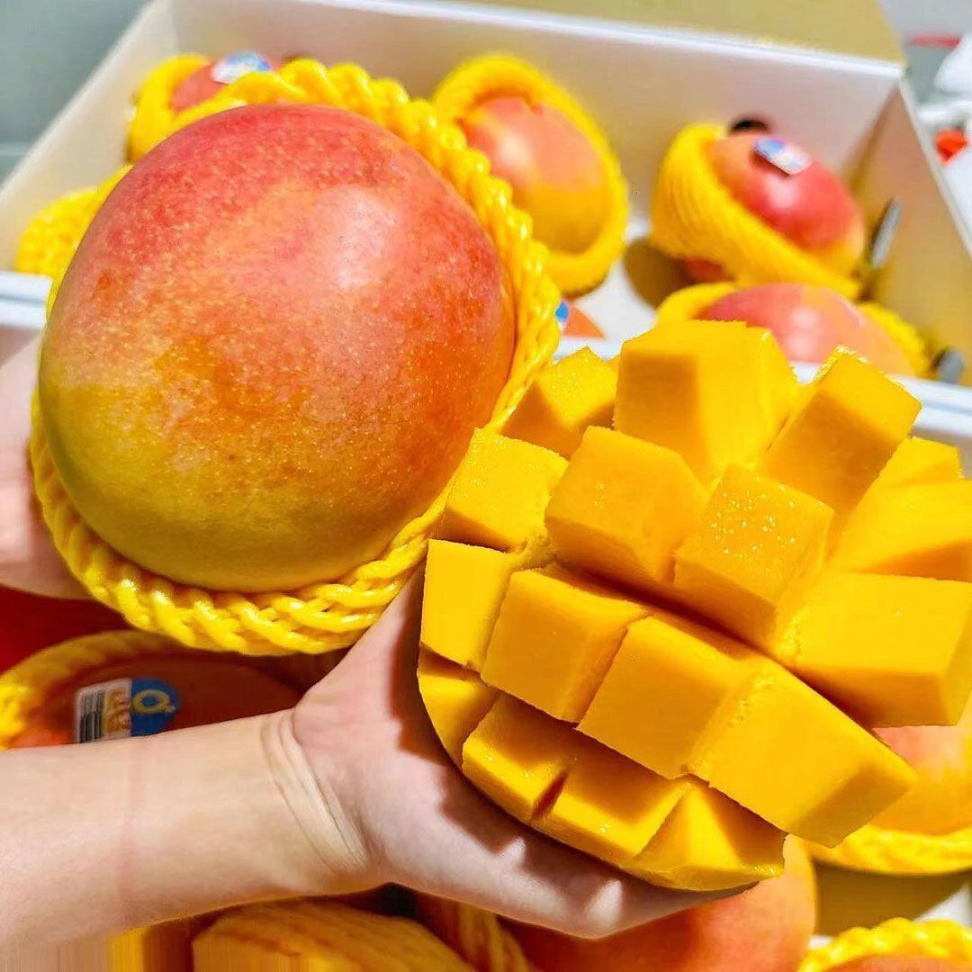 新鲜云南高原苹果芒芒果【9.9元两个】约1.5斤芒果同城配云南省