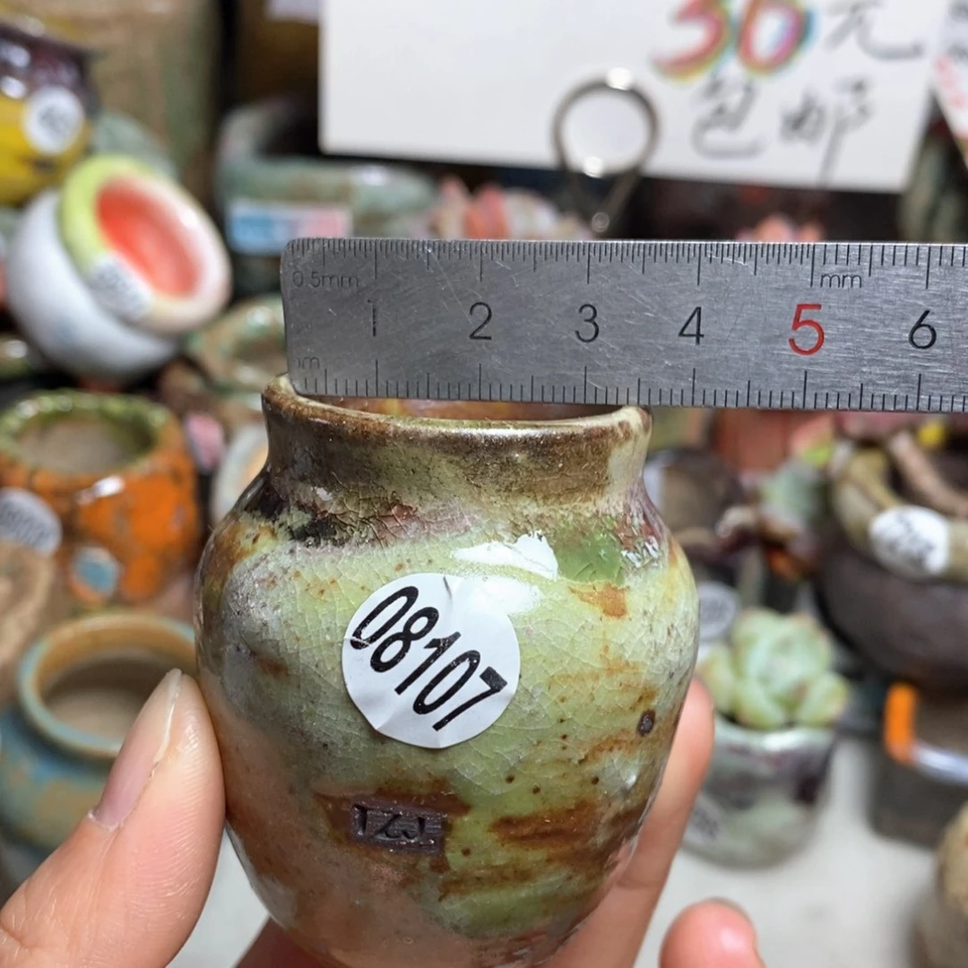 花盆拍5送一个小礼物