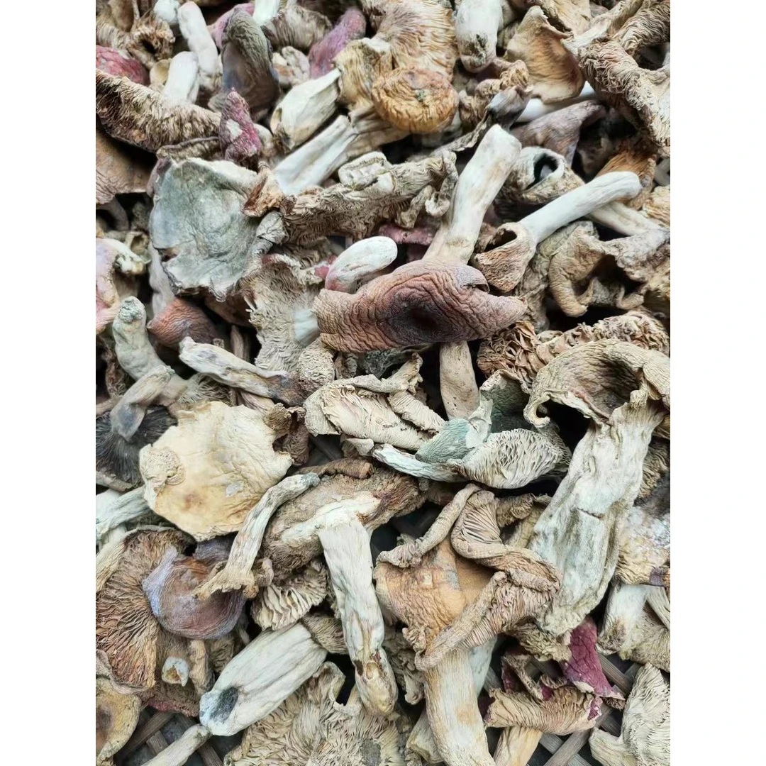 湖南特产正宗食用野生菌杂菇野菌子干货500g包邮干菌子统货野蘑菇