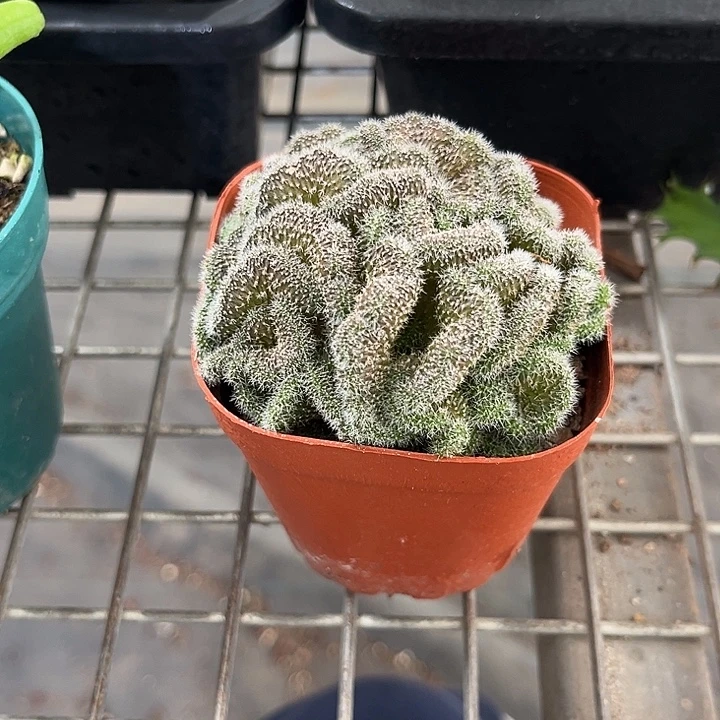 飘***渺我也不知道我为什么要这样