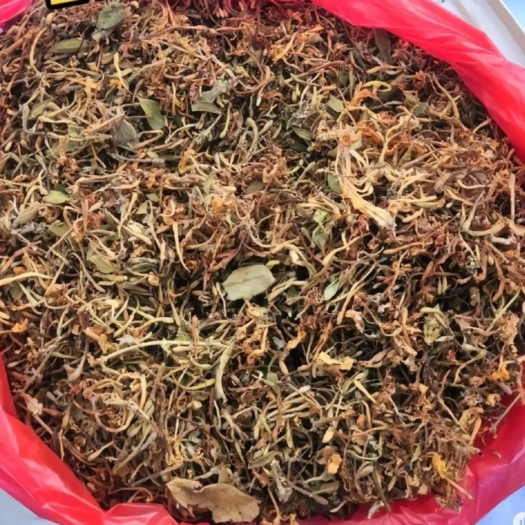 贵州野生自然晒干金银花