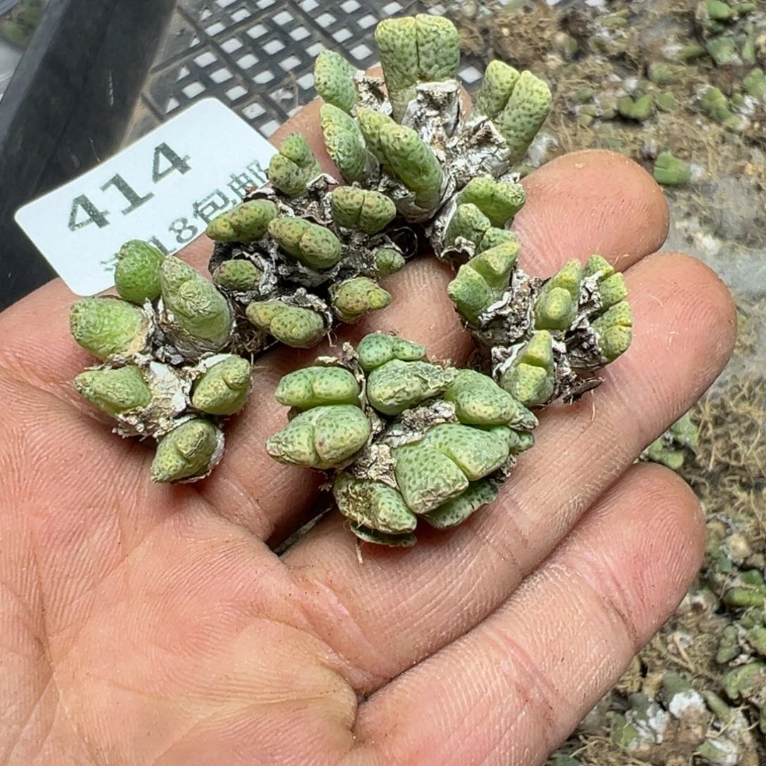 【闪购商品】 414。