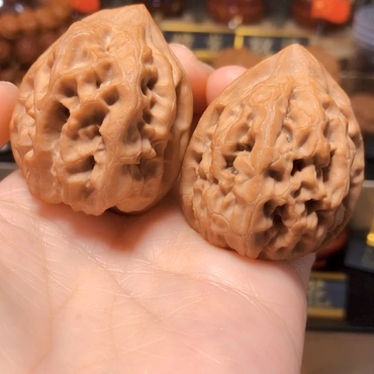 野生小众：平谷火苗