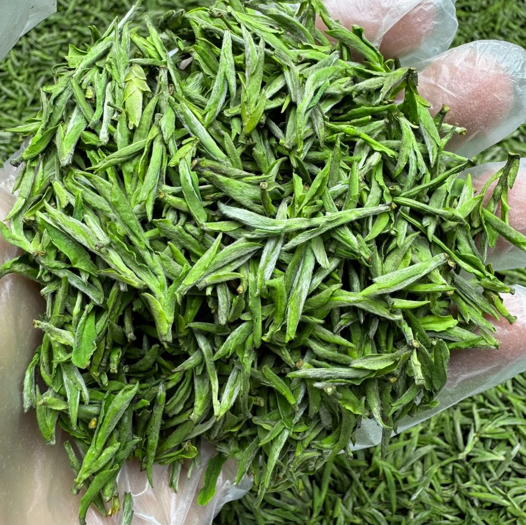 2025年新茶毛峰兰花香明前茶