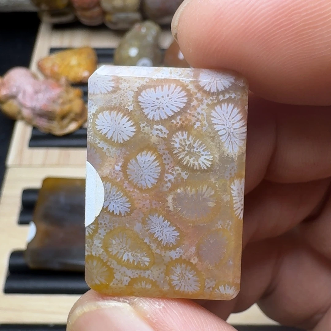 未镶嵌纯天然色有机玉石保真色硅化玉