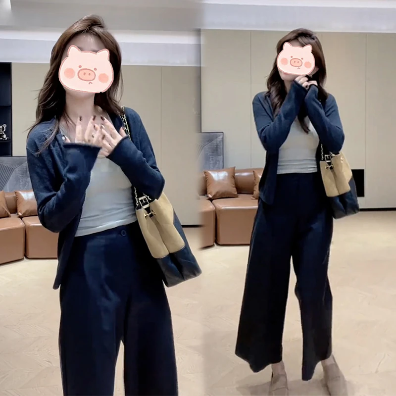 2025秋季慵懒风韩系穿搭高质量纯色百搭薄款长袖宽松针织开衫套装