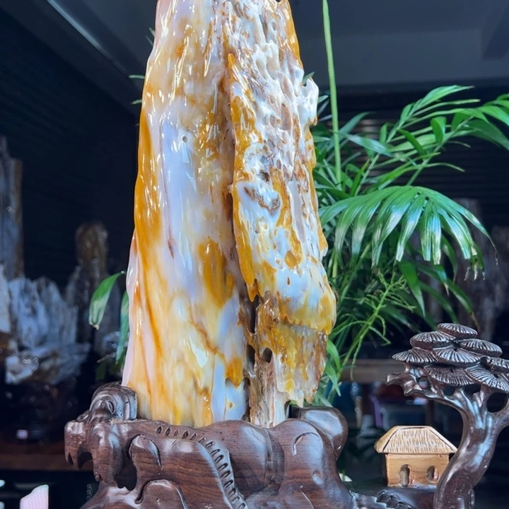 硅化玉（树化玉）未镶嵌珠宝奇石
