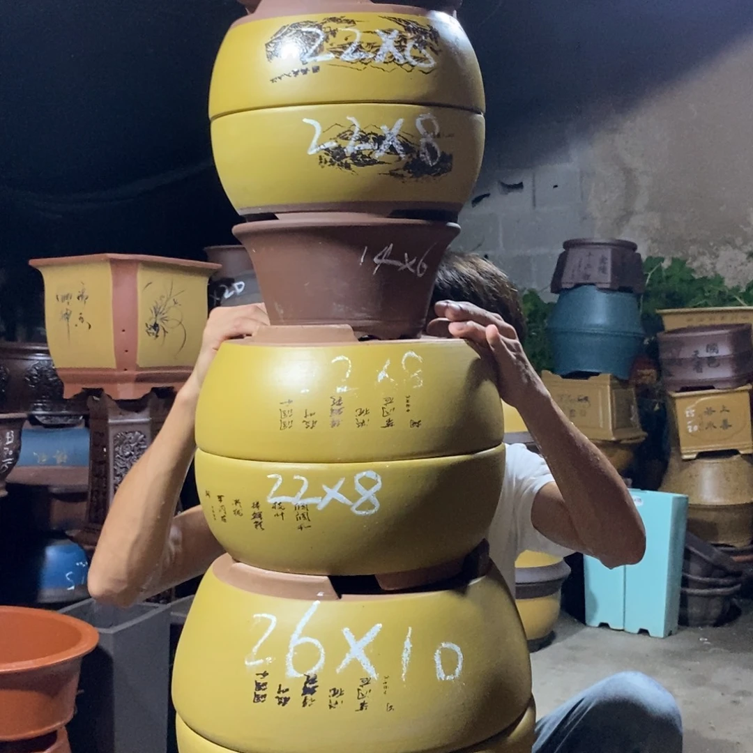 紫砂紫砂紫砂紫砂