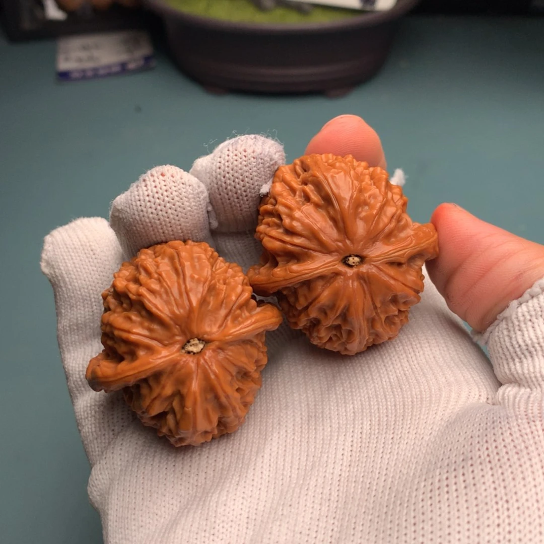 文玩核桃把件莫**哥金麒麟12