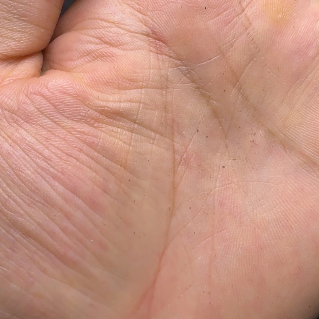 绿毛龟母包邮包活。。。。。。