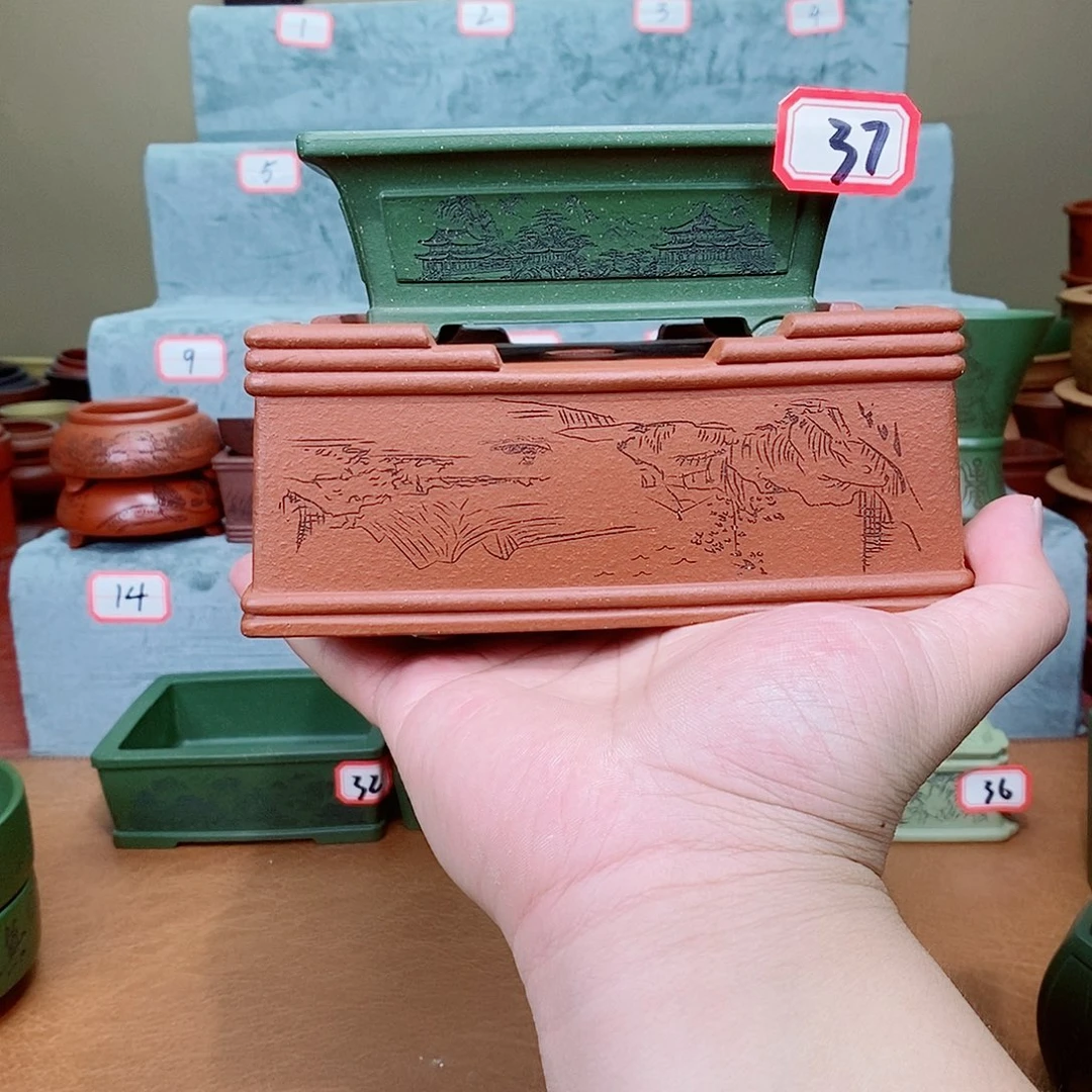 紫砂花盆我***茶我在看书