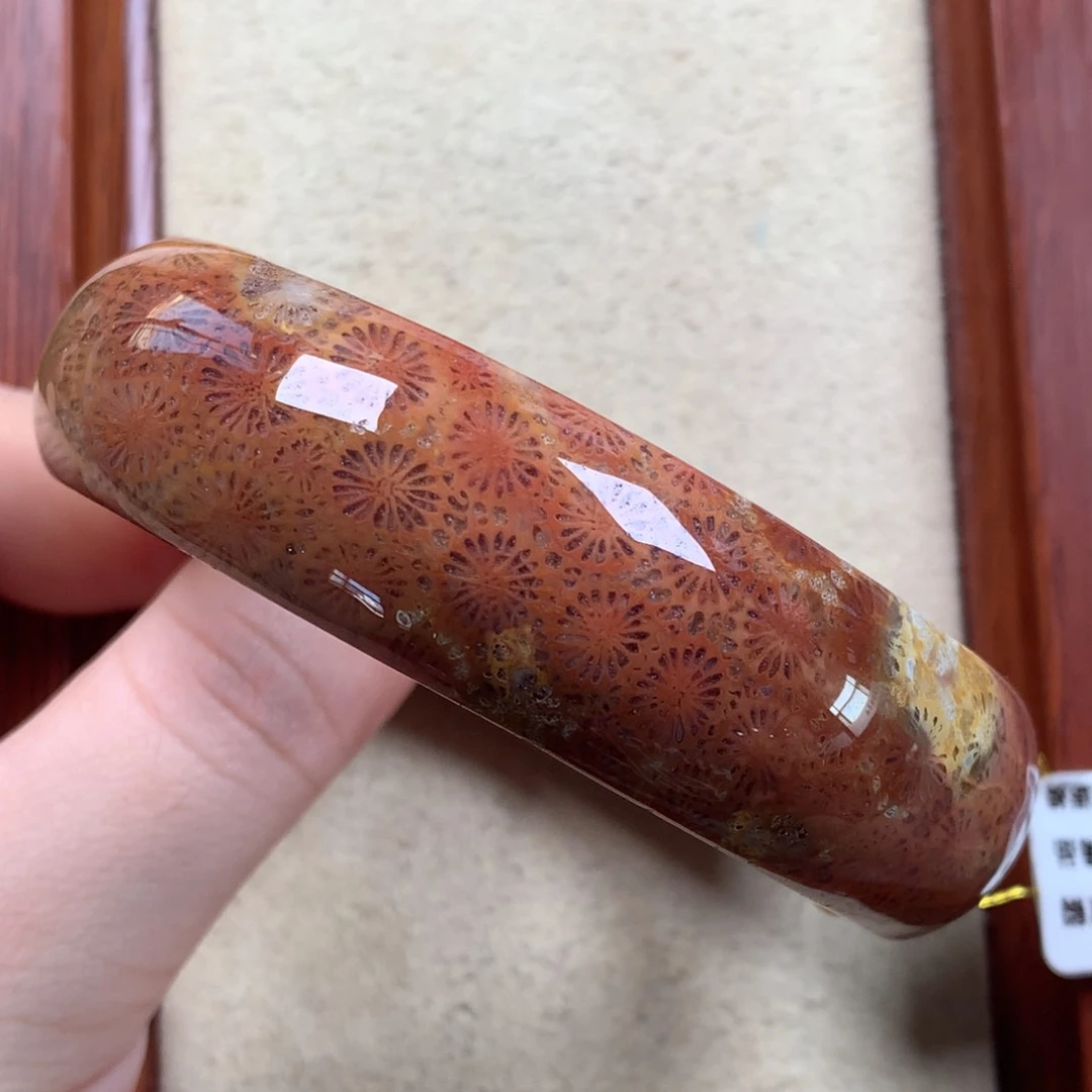 未镶嵌60.4圈800/个。05硅化珊瑚（珊瑚玉）