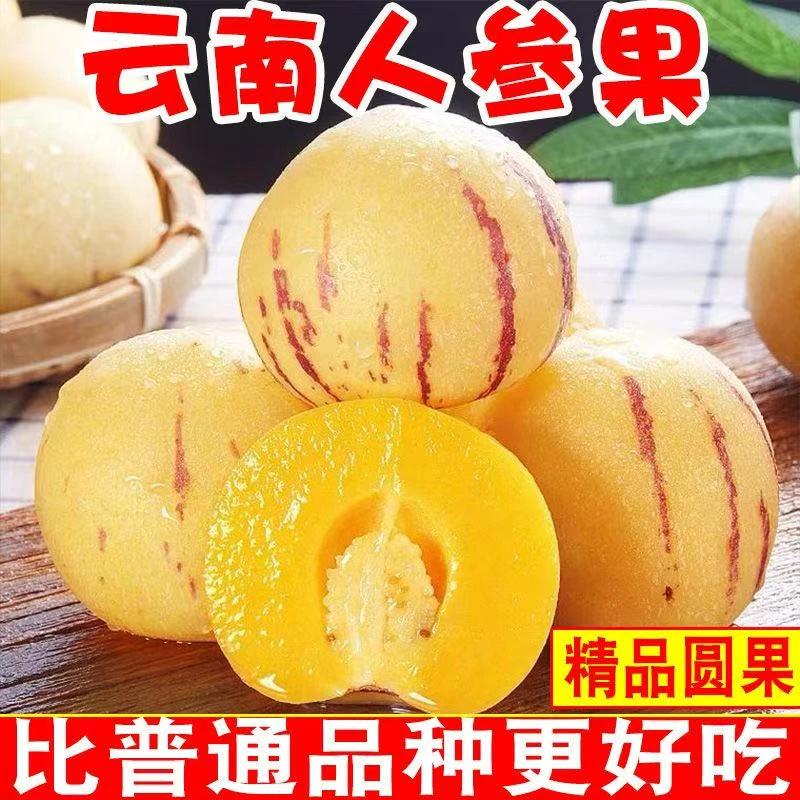 【树上熟】云南人参果奶香清甜黄心汁水充沛新鲜现摘坏果包赔