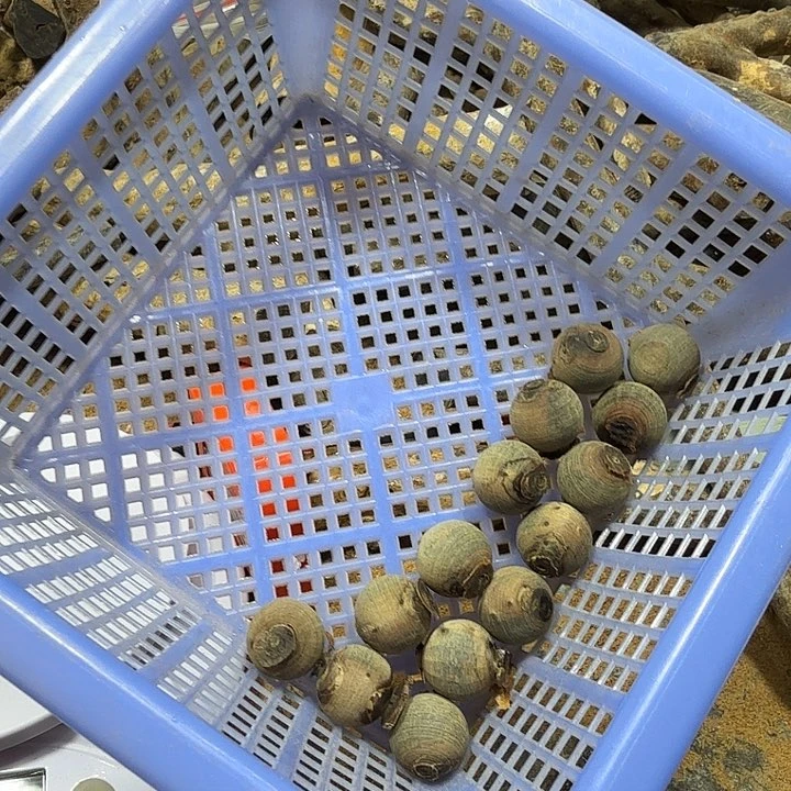 森哥，啊啊啊啊啊啊啊啊