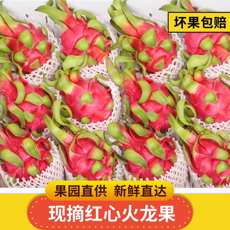 新鲜红心火龙果越南进口红肉大果现摘现发应季香甜多汁包邮批发