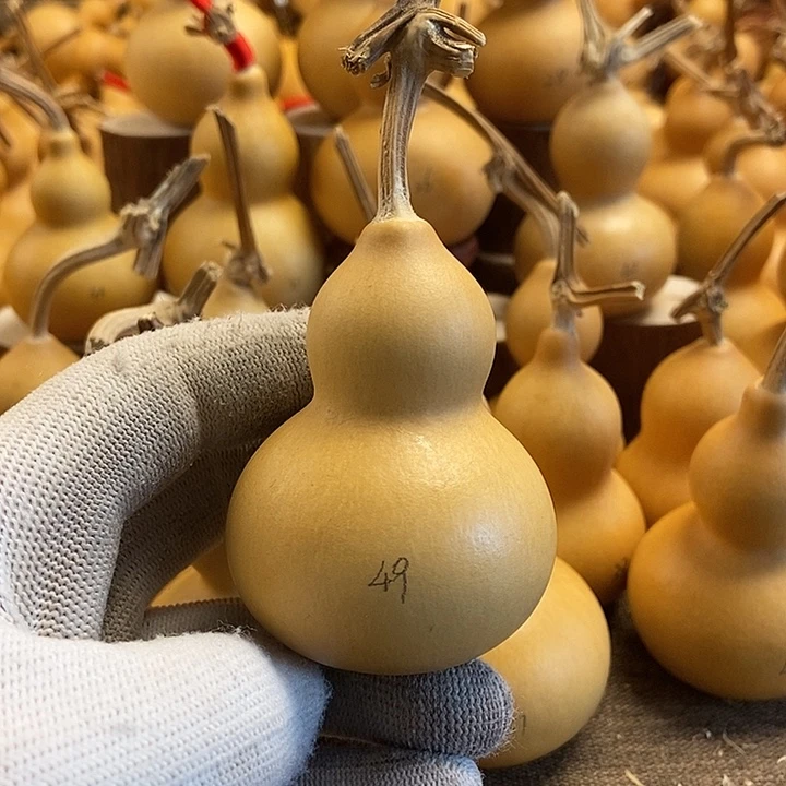 文玩葫芦 完美主义者 慎拍49