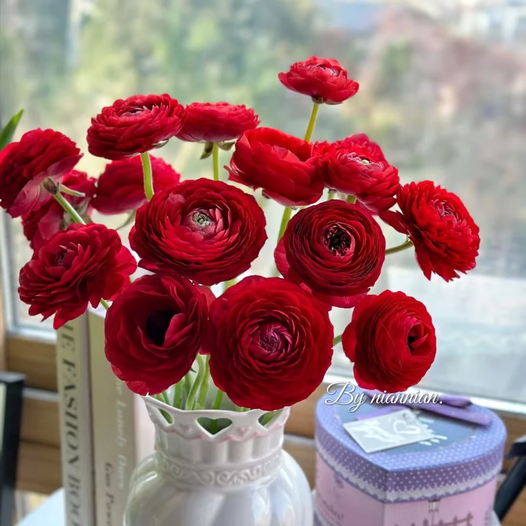 【红色洋牡丹AK】精品红色洋牡丹1把   | 全场任意满两单鲜花包邮