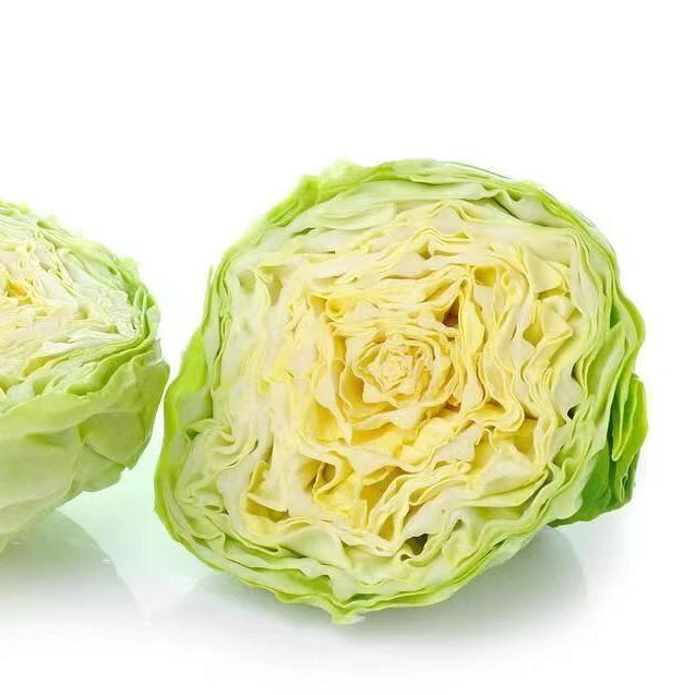 口感甘蓝苗手撕牛心包菜苗卷心菜苗有机菜花苗西兰花苗西蓝花菜苗