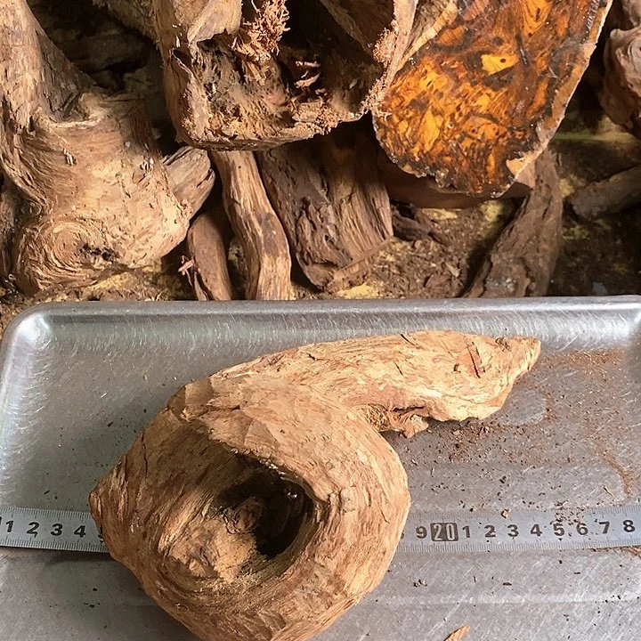 花梨木类大***7海南花梨