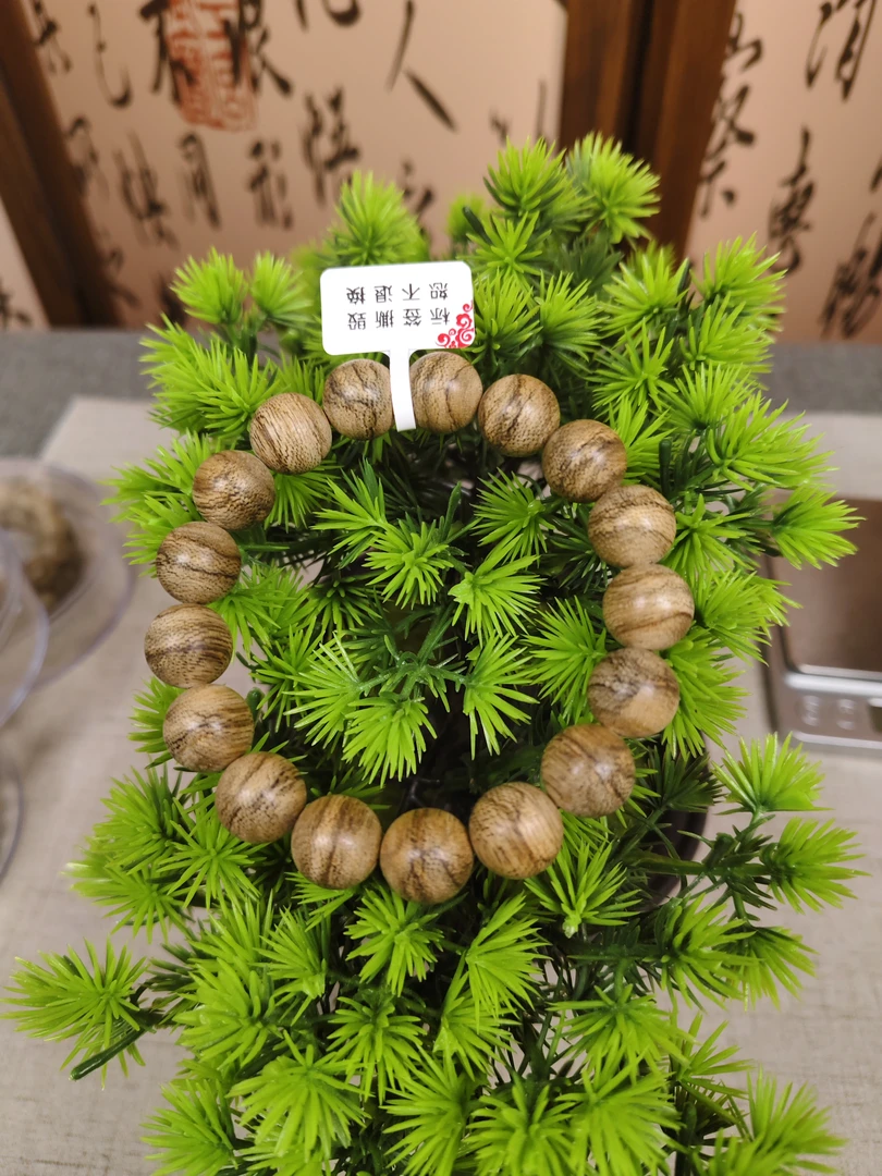 天然文莱。。。。。。。。。