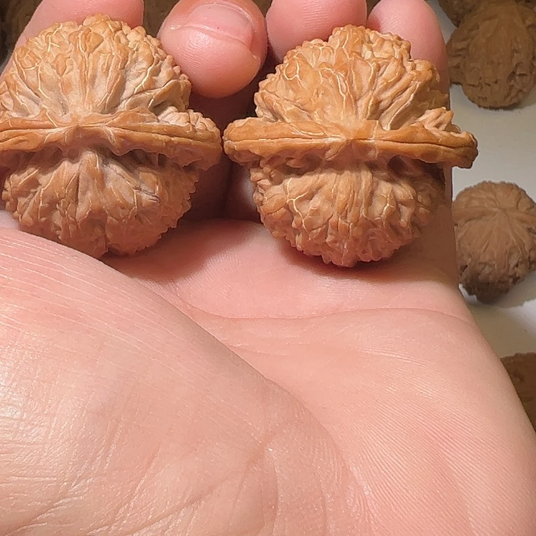 吃***鱼把件文玩核桃文玩