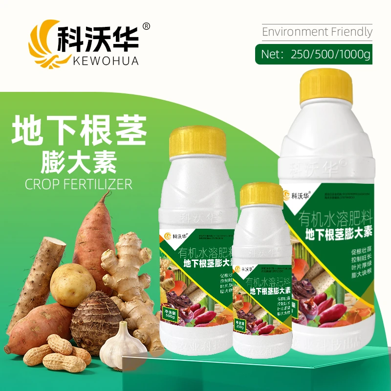 地下根茎块茎膨大素生根壮苗膨果防裂氨基酸大姜大蒜专用水溶肥料