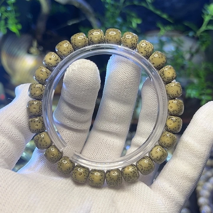 手串星月菩提海南原生态