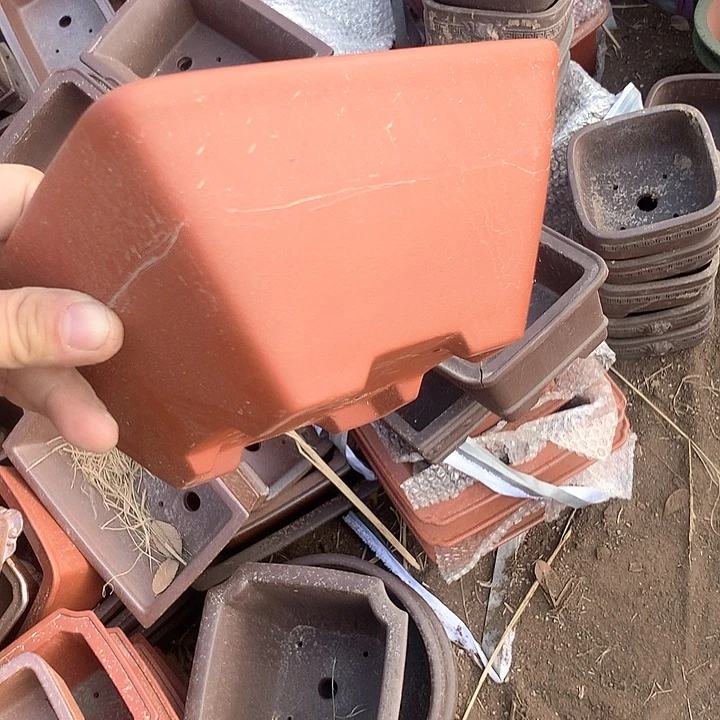 紫砂优秀青年骨干教师资格证的面试