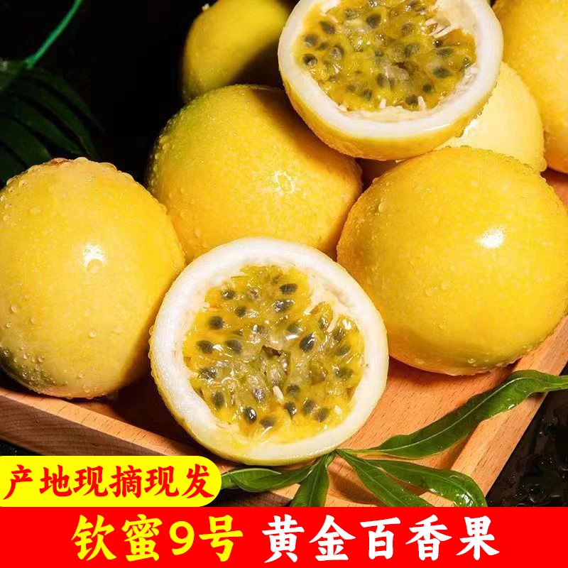 正宗钦蜜9号黄金百香果现摘新鲜孕妇水果当季原浆特大果纯甜包邮
