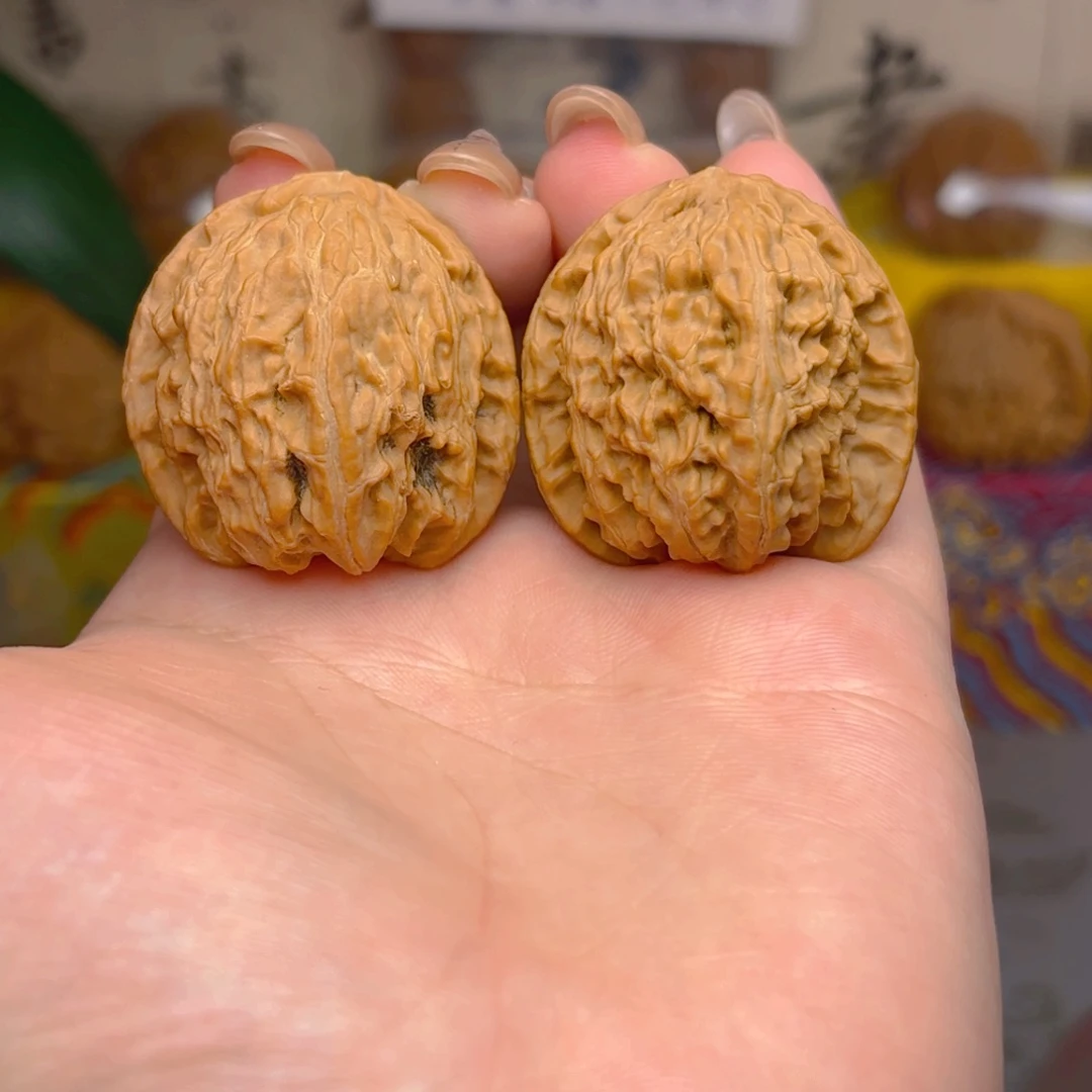 白狮子头三十五尺