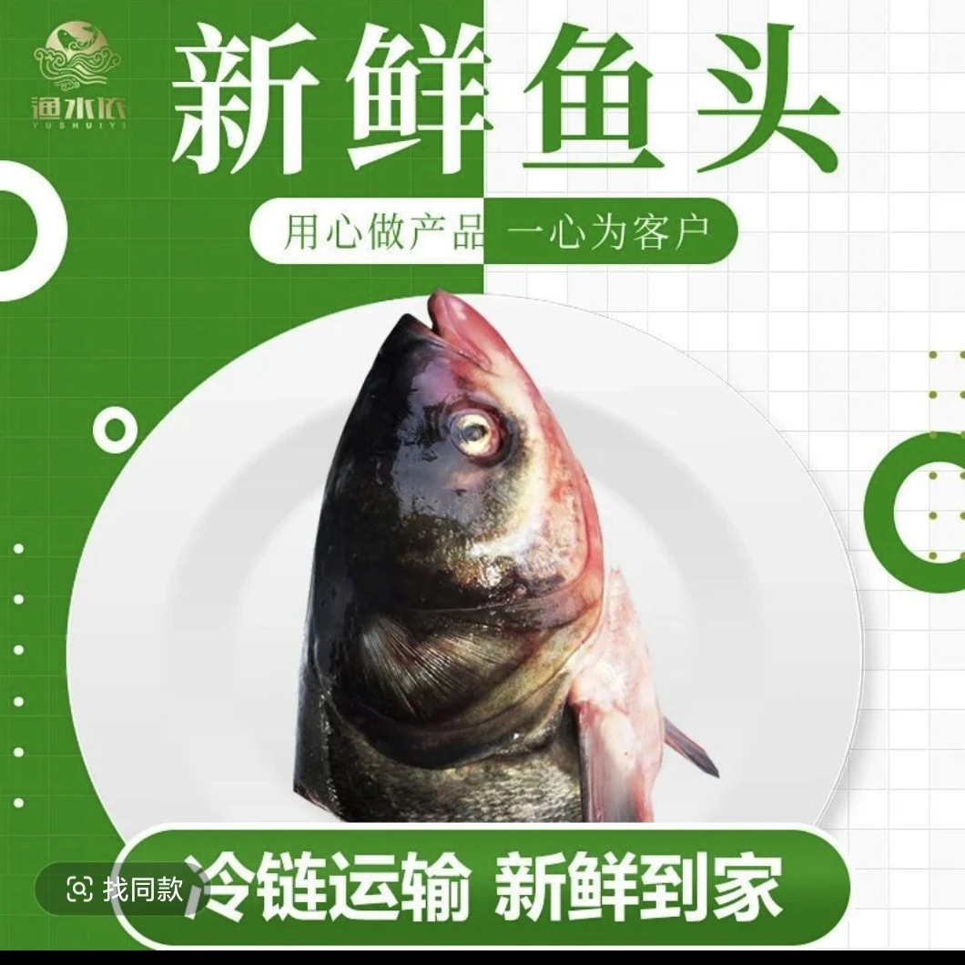 东北冷水花鲢，胖头鱼头，一个去鳃净重11-12斤。顺丰包邮