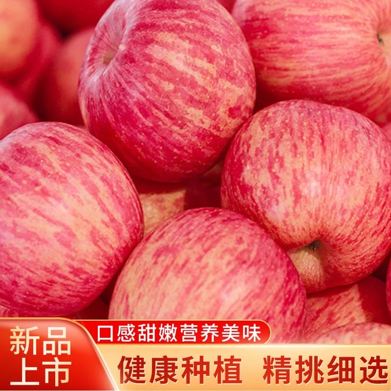 2025年头茬陕西高原红富士苹果水果当季新鲜脆甜多汁红苹果皮薄5