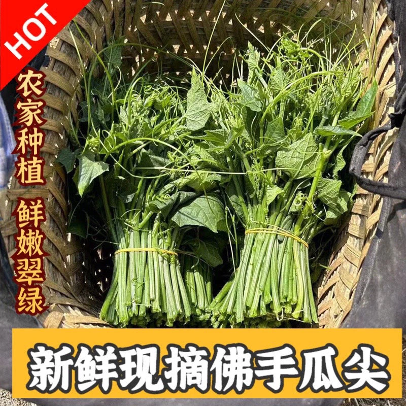 贵州农家新鲜佛手瓜尖餐馆特色菜现摘现发清炒时蔬炒腊肉