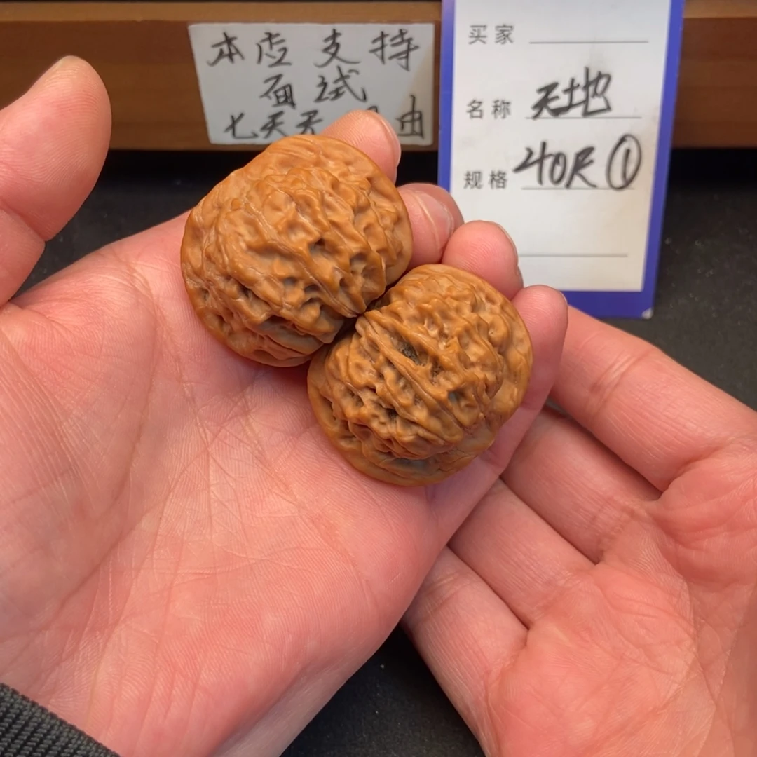 把件文玩核桃天地（40尺寸）