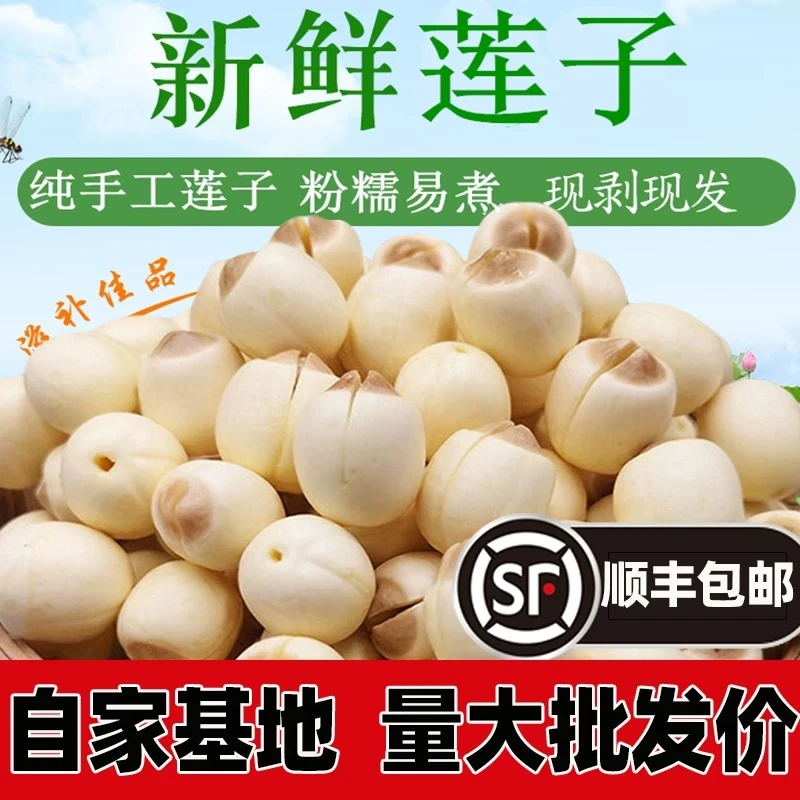 新鲜手工白莲手工去皮去芯现采现发顺丰冷链发货