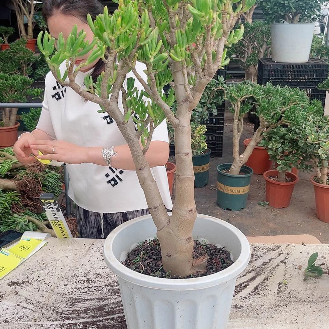 吸财163色俄军哦哦哦噜