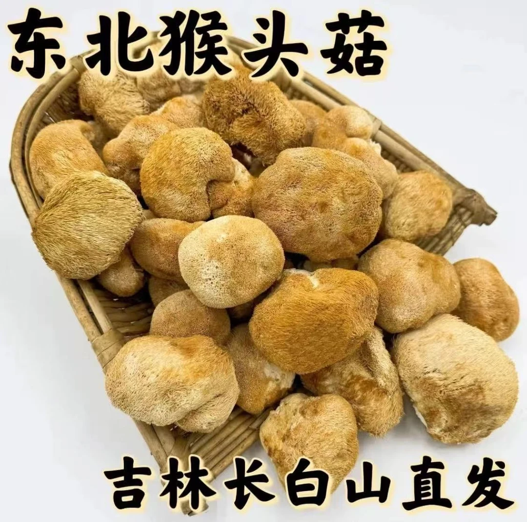 东北长白山猴头菇干货
