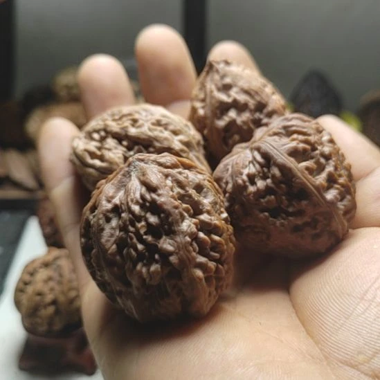 微****文玩核桃把件东北野生文玩核桃