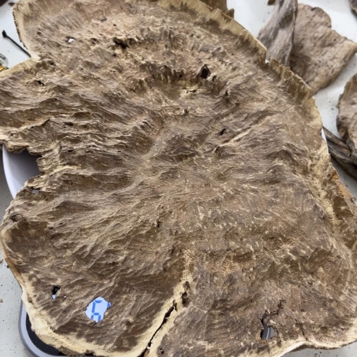 沉香沉香木制品海南沉香60克