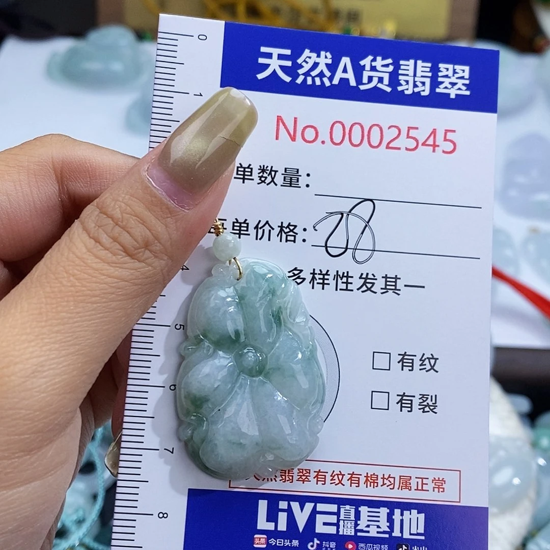 翡翠未镶嵌颈饰2545