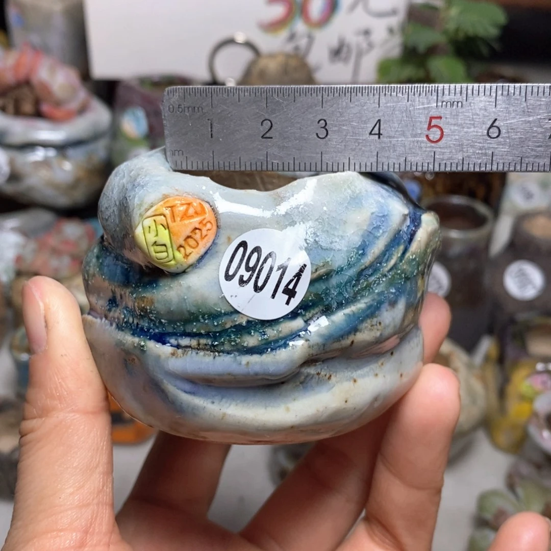 花盆拍3送一个小礼物