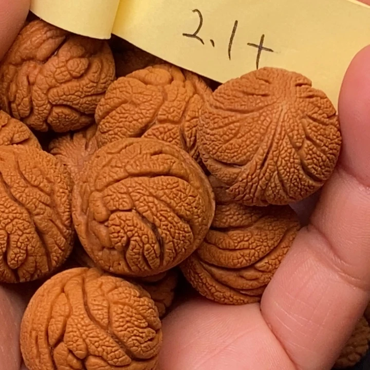 秦岭龙纹桃核13颗