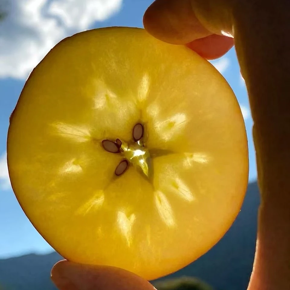 四川正宗现摘冰糖心丑苹果新鲜脆甜多汁水果