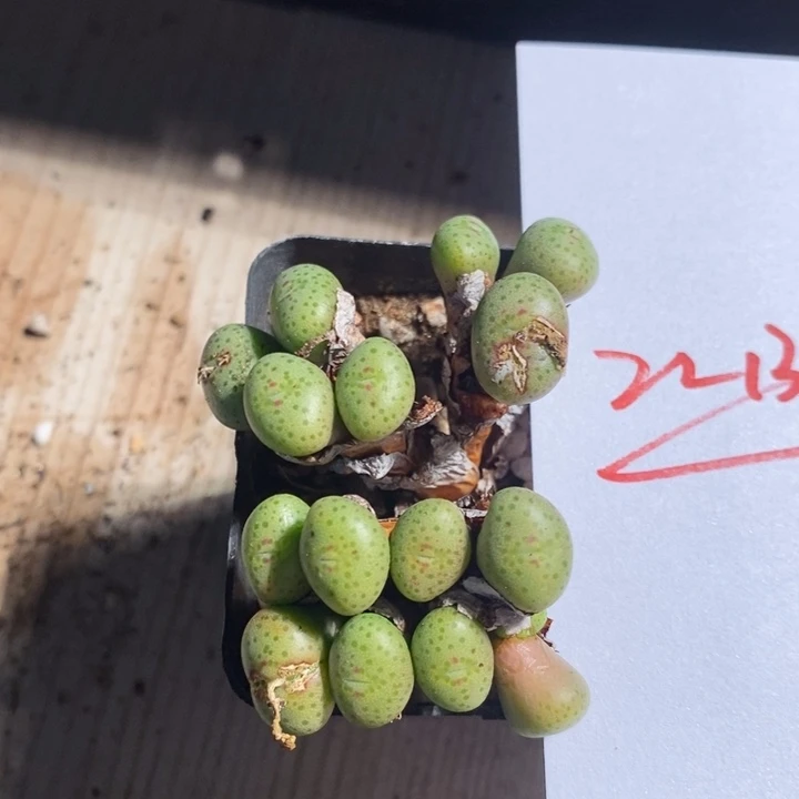 22136一个一个一个