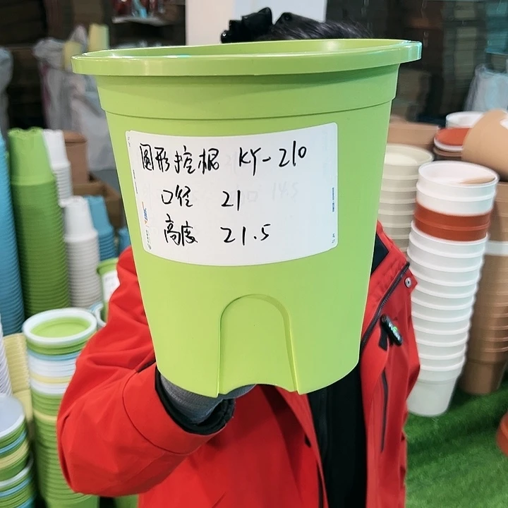 正品圆控口21高21果绿无托8只